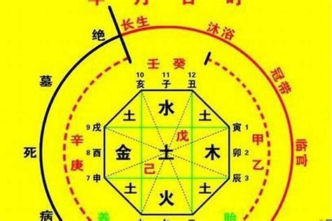 八字種|生辰八字算命、五行喜用神查詢（免費測算）